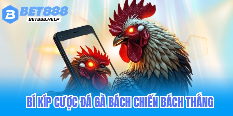 Đá Gà Online Bet88 - Live Trực Tiếp Đá Gà Thomo Cambodia 1 Bí kíp cược đá gà online bet88 onlie bách chiến bách thắng